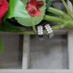 Delicate Diamond Studded Earring (2)