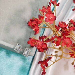 Squarecut Gemstone Studded Earring