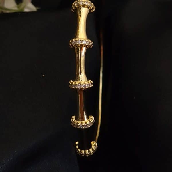 clode up of Bamboo anti tarnish kada for women in gold-toned segmented design with American diamond stones